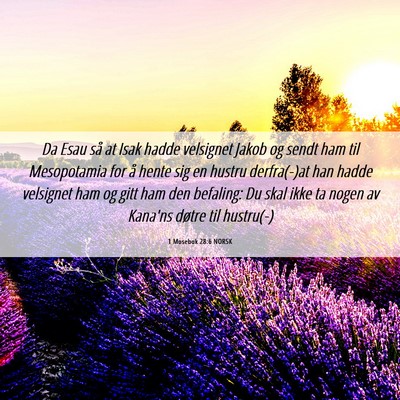 Picture 06 - 1 Mosebok 28:6 NORSK - Da Esau så at Isak hadde velsignet Jakob og - Bible Verse Picture
