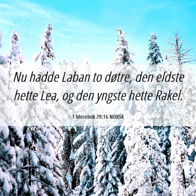 Picture 06 - 1 Mosebok 29:16 NORSK - Nu hadde Laban to døtre, den eldste hette Lea, - Bible Verse Picture