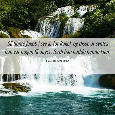 Picture 06 - 1 Mosebok 29:20 NORSK - Så tjente Jakob i syv år for Rakel; og disse - Bible Verse Picture