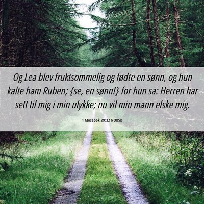 Picture 06 - 1 Mosebok 29:32 NORSK - Og Lea blev fruktsommelig og fødte en sønn, og - Bible Verse Picture