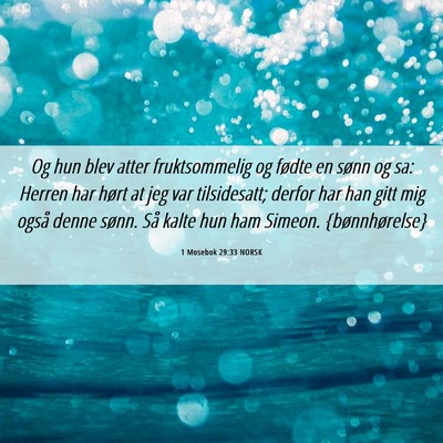 Picture 06 - 1 Mosebok 29:33 NORSK - Og hun blev atter fruktsommelig og fødte en - Bible Verse Picture