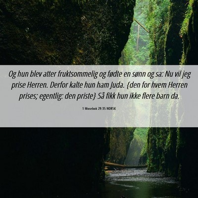 Picture 06 - 1 Mosebok 29:35 NORSK - Og hun blev atter fruktsommelig og fødte en - Bible Verse Picture