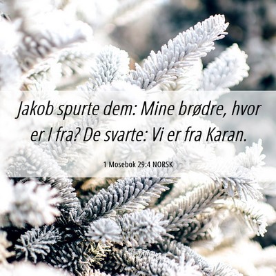 Picture 06 - 1 Mosebok 29:4 NORSK - Jakob spurte dem: Mine brødre, hvor er I fra? De - Bible Verse Picture