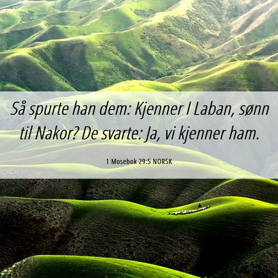 Picture 06 - 1 Mosebok 29:5 NORSK - Så spurte han dem: Kjenner I Laban, sønn til - Bible Verse Picture