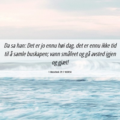 Picture 06 - 1 Mosebok 29:7 NORSK - Da sa han: Det er jo ennu høi dag, det er ennu - Bible Verse Picture