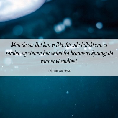 Picture 06 - 1 Mosebok 29:8 NORSK - Men de sa: Det kan vi ikke før alle feflokkene - Bible Verse Picture