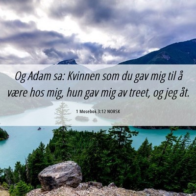Picture 06 - 1 Mosebok 3:12 NORSK - Og Adam sa: Kvinnen som du gav mig til å være - Bible Verse Picture