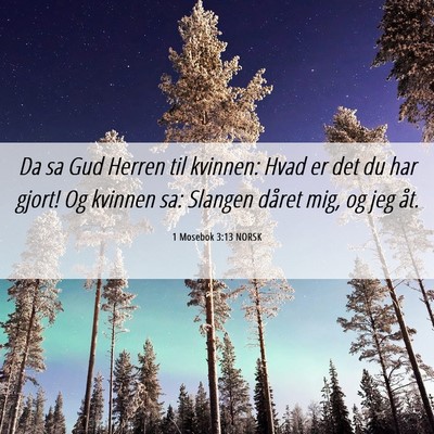 Picture 06 - 1 Mosebok 3:13 NORSK - Da sa Gud Herren til kvinnen: Hvad er det du har - Bible Verse Picture