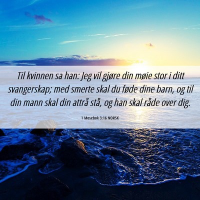 Picture 06 - 1 Mosebok 3:16 NORSK - Til kvinnen sa han: Jeg vil gjøre din møie stor - Bible Verse Picture