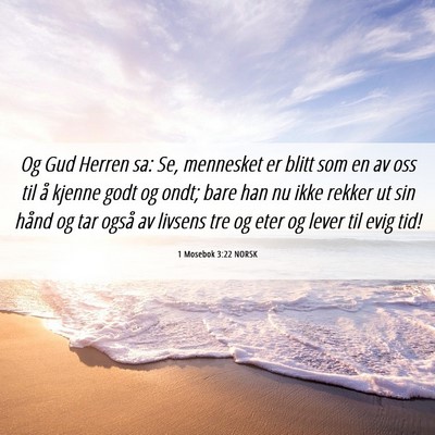 Picture 06 - 1 Mosebok 3:22 NORSK - Og Gud Herren sa: Se, mennesket er blitt som en - Bible Verse Picture