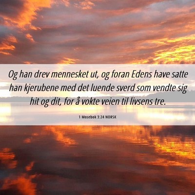 Picture 06 - 1 Mosebok 3:24 NORSK - Og han drev mennesket ut, og foran Edens have - Bible Verse Picture