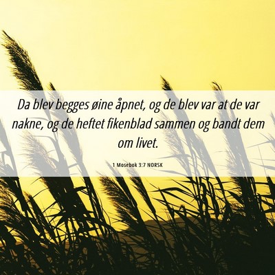 Picture 06 - 1 Mosebok 3:7 NORSK - Da blev begges øine åpnet, og de blev var at de - Bible Verse Picture