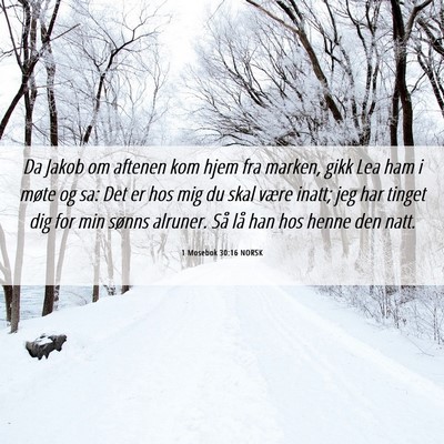 Picture 06 - 1 Mosebok 30:16 NORSK - Da Jakob om aftenen kom hjem fra marken, gikk Lea - Bible Verse Picture