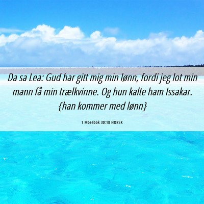 Picture 06 - 1 Mosebok 30:18 NORSK - Da sa Lea: Gud har gitt mig min lønn, fordi jeg - Bible Verse Picture