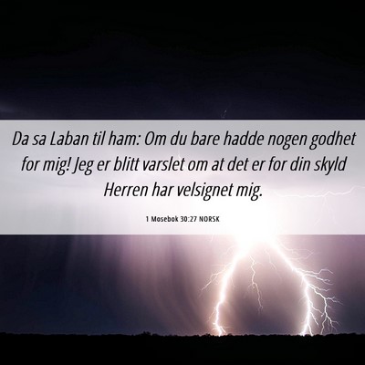 Picture 06 - 1 Mosebok 30:27 NORSK - Da sa Laban til ham: Om du bare hadde nogen - Bible Verse Picture