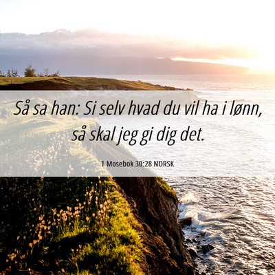 Picture 06 - 1 Mosebok 30:28 NORSK - Så sa han: Si selv hvad du vil ha i lønn, så - Bible Verse Picture