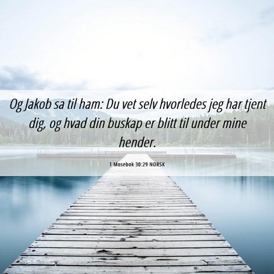 Picture 06 - 1 Mosebok 30:29 NORSK - Og Jakob sa til ham: Du vet selv hvorledes jeg - Bible Verse Picture
