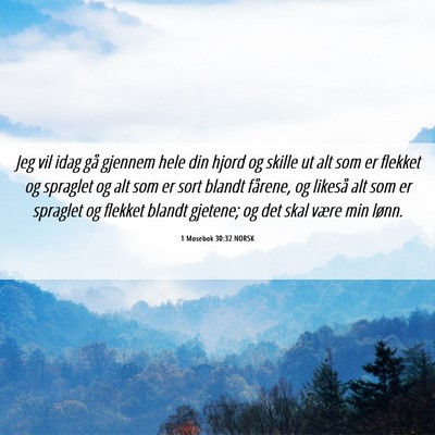 Picture 06 - 1 Mosebok 30:32 NORSK - Jeg vil idag gå gjennem hele din hjord og skille - Bible Verse Picture