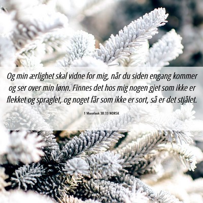 Picture 06 - 1 Mosebok 30:33 NORSK - Og min ærlighet skal vidne for mig, når du - Bible Verse Picture