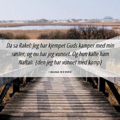Picture 06 - 1 Mosebok 30:8 NORSK - Da sa Rakel: Jeg har kjempet Guds kamper med min - Bible Verse Picture