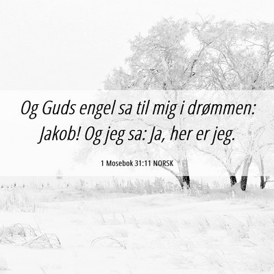 Picture 06 - 1 Mosebok 31:11 NORSK - Og Guds engel sa til mig i drømmen: Jakob! Og - Bible Verse Picture