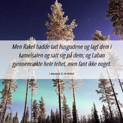 Picture 06 - 1 Mosebok 31:34 NORSK - Men Rakel hadde tatt husgudene og lagt dem i - Bible Verse Picture