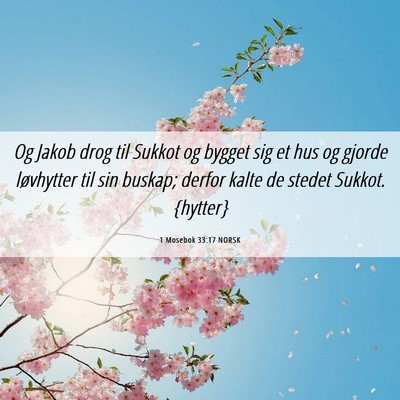 Picture 06 - 1 Mosebok 33:17 NORSK - Og Jakob drog til Sukkot og bygget sig et hus og - Bible Verse Picture
