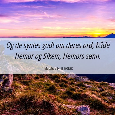 Picture 06 - 1 Mosebok 34:18 NORSK - Og de syntes godt om deres ord, både Hemor og - Bible Verse Picture
