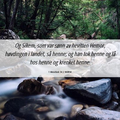 Picture 06 - 1 Mosebok 34:2 NORSK - Og Sikem, som var sønn av hevitten Hemor, - Bible Verse Picture