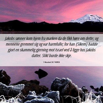 Picture 06 - 1 Mosebok 34:7 NORSK - Jakobs sønner kom hjem fra marken da de fikk - Bible Verse Picture