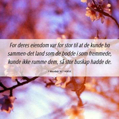 Picture 06 - 1 Mosebok 36:7 NORSK - For deres eiendom var for stor til at de kunde bo - Bible Verse Picture