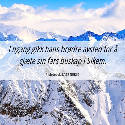 Picture 06 - 1 Mosebok 37:12 NORSK - Engang gikk hans brødre avsted for å gjæte sin - Bible Verse Picture