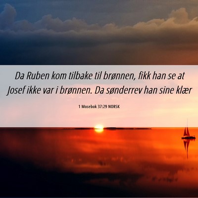 Picture 06 - 1 Mosebok 37:29 NORSK - Da Ruben kom tilbake til brønnen, fikk han se at - Bible Verse Picture