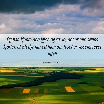 Picture 06 - 1 Mosebok 37:33 NORSK - Og han kjente den igjen og sa: Jo, det er min - Bible Verse Picture