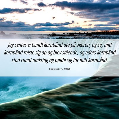 Picture 06 - 1 Mosebok 37:7 NORSK - Jeg syntes vi bandt kornbånd ute på akeren, og - Bible Verse Picture