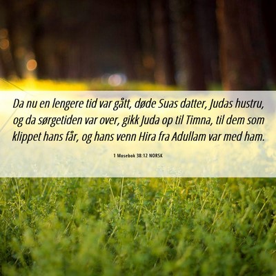 Picture 06 - 1 Mosebok 38:12 NORSK - Da nu en lengere tid var gått, døde Suas - Bible Verse Picture