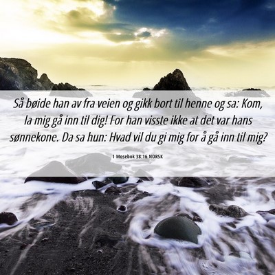 Picture 06 - 1 Mosebok 38:16 NORSK - Så bøide han av fra veien og gikk bort til - Bible Verse Picture