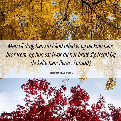 Picture 06 - 1 Mosebok 38:29 NORSK - Men så drog han sin hånd tilbake, og da kom - Bible Verse Picture