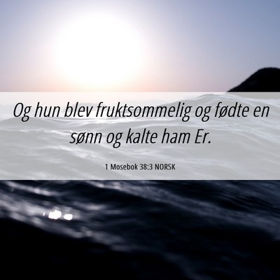Picture 06 - 1 Mosebok 38:3 NORSK - Og hun blev fruktsommelig og fødte en sønn og - Bible Verse Picture