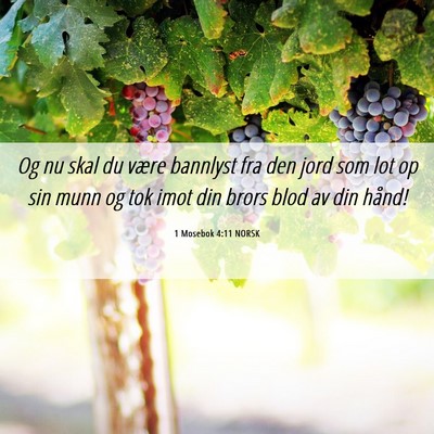 Picture 06 - 1 Mosebok 4:11 NORSK - Og nu skal du være bannlyst fra den jord som lot - Bible Verse Picture