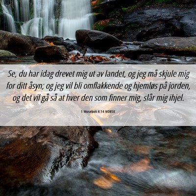 Picture 06 - 1 Mosebok 4:14 NORSK - Se, du har idag drevet mig ut av landet, og jeg - Bible Verse Picture