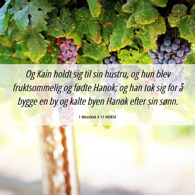Picture 06 - 1 Mosebok 4:17 NORSK - Og Kain holdt sig til sin hustru, og hun blev - Bible Verse Picture