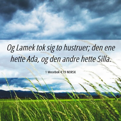 Picture 06 - 1 Mosebok 4:19 NORSK - Og Lamek tok sig to hustruer; den ene hette Ada, - Bible Verse Picture
