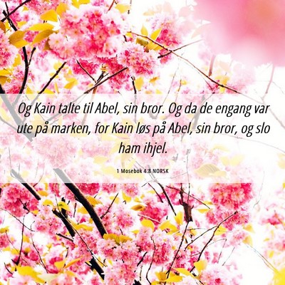 Picture 06 - 1 Mosebok 4:8 NORSK - Og Kain talte til Abel, sin bror. Og da de engang - Bible Verse Picture