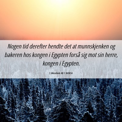 Picture 06 - 1 Mosebok 40:1 NORSK - Nogen tid derefter hendte det at munnskjenken og - Bible Verse Picture