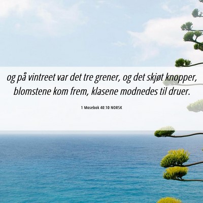 Picture 06 - 1 Mosebok 40:10 NORSK - og på vintreet var det tre grener, og det skjøt - Bible Verse Picture