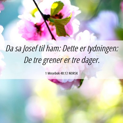 Picture 06 - 1 Mosebok 40:12 NORSK - Da sa Josef til ham: Dette er tydningen: De tre - Bible Verse Picture