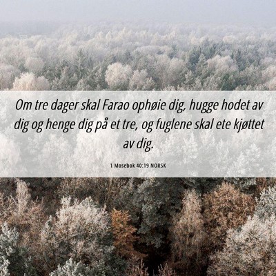 Picture 06 - 1 Mosebok 40:19 NORSK - Om tre dager skal Farao ophøie dig, hugge hodet - Bible Verse Picture