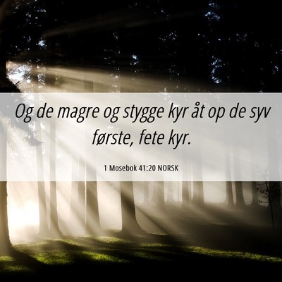 Picture 06 - 1 Mosebok 41:20 NORSK - Og de magre og stygge kyr åt op de syv første, - Bible Verse Picture