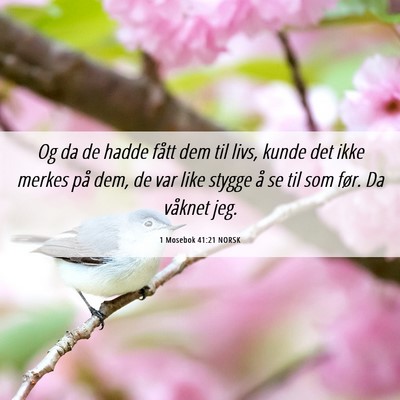 Picture 06 - 1 Mosebok 41:21 NORSK - Og da de hadde fått dem til livs, kunde det ikke - Bible Verse Picture